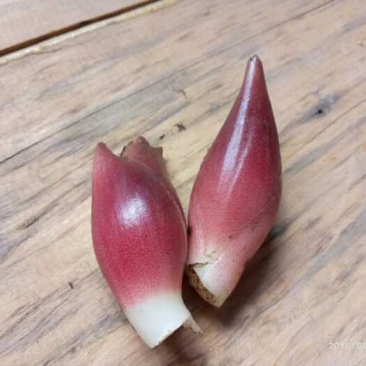 北川县阳荷 ，茗荷  出口企业