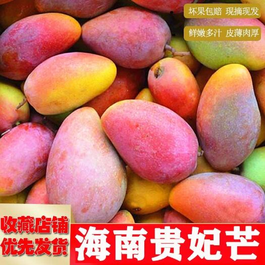 三亚 当季现摘一级贵妃芒（水果超市300斤起批发包邮）