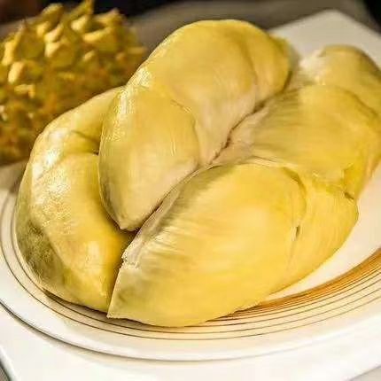 灵山县 金枕榴莲苗，嫁接的，带叶发货。