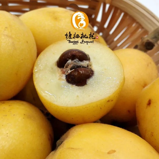 杭州 塘栖白沙枇杷4斤