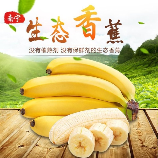 南宁 当季现摘广西生态香蕉（水果超市批发包邮300斤起）