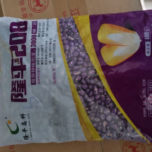 沭阳县隆平208玉米种子