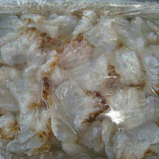 济南海蜇头 