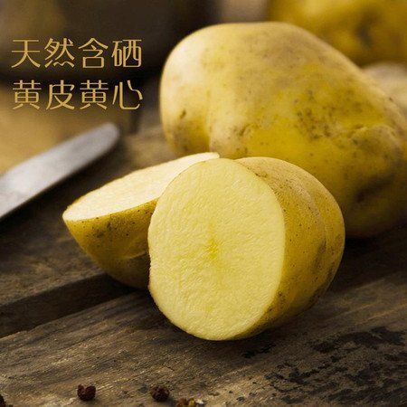 恩施市 恩施富硒小土豆