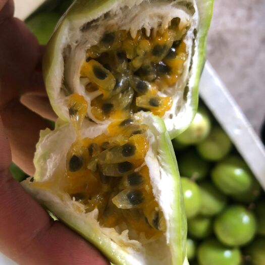 文昌市 海南黄金百香果 产地直发 大量供货