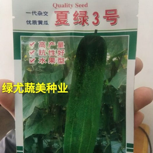 南靖县夏绿三号水果吊瓜，水果型，具有逆抗性，丰产性，适合春夏秋种植