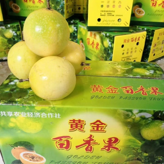 三亚 黄金百香果精选大果5斤装一件代发