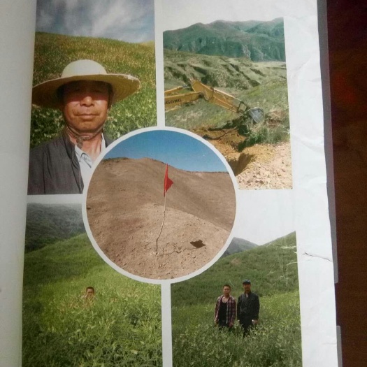 灵丘县 浑源恒山黄芪1000亩，今年9月份到期5年，开挖.电联。
