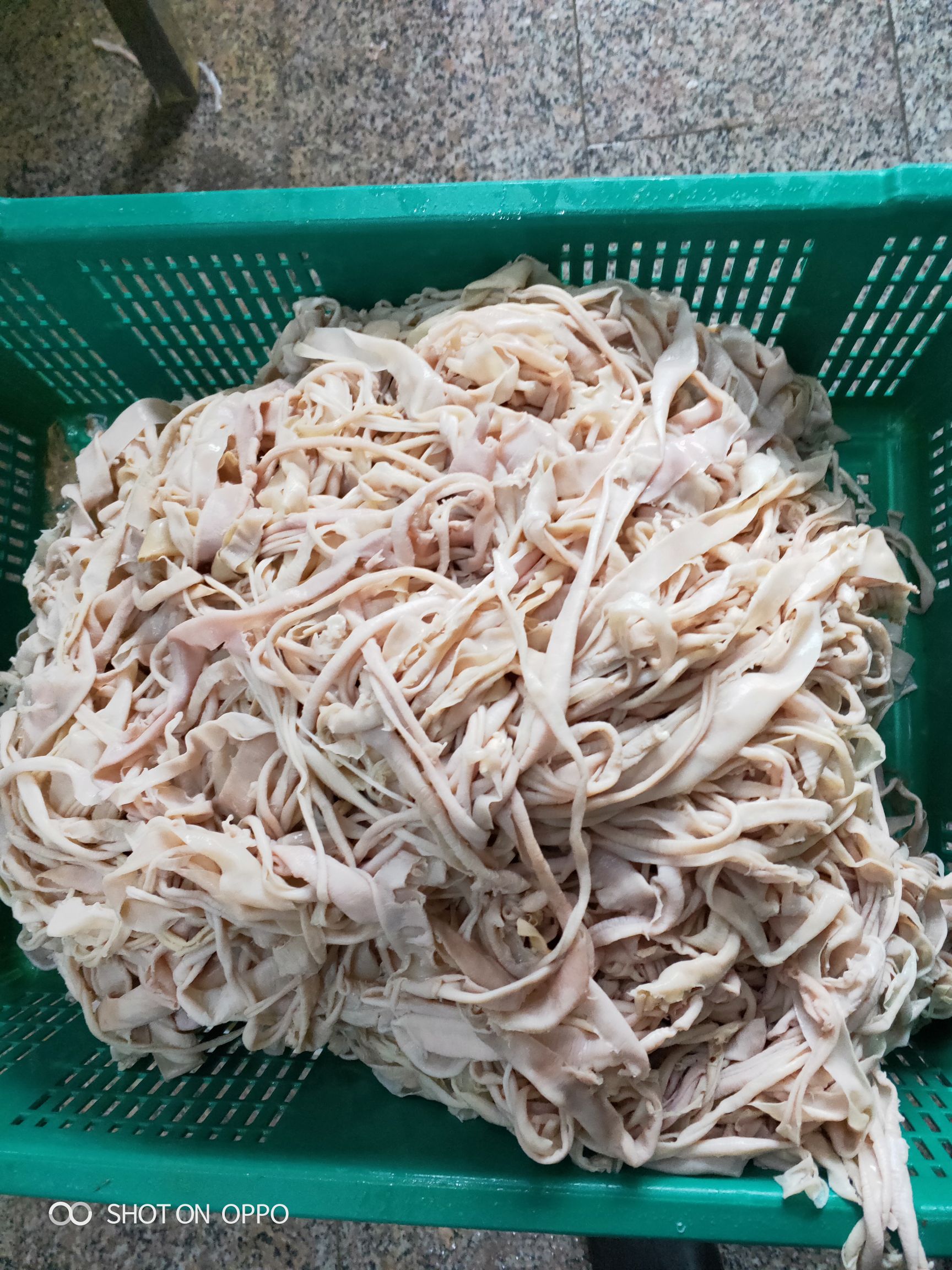猪小肠  优质小肠皮，青岛苦肠，湖南捆鸡，江浙沪小肠卷