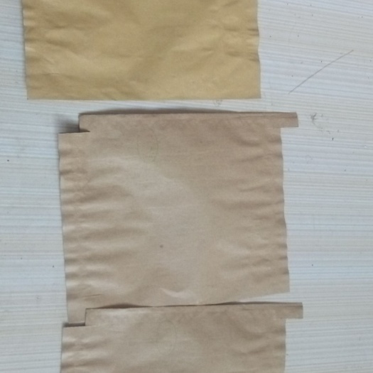 赵县 供应纸加膜晚秋梨袋，秋月梨袋各种水果装