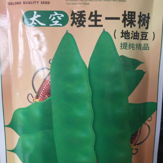 农安县油青豆角种子 地油豆种子