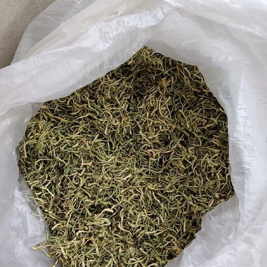 临西县 金银花