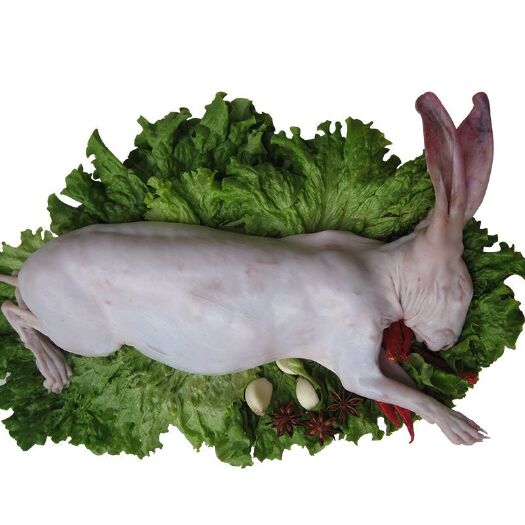 兔肉类 带头白条