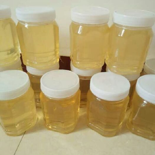 沂水县 沂蒙山槐花蜜自养