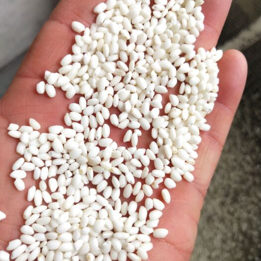 南陵县圆糯米 美味可口
米粒晶莹