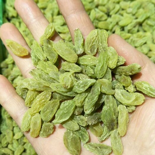 郑州 ，新疆全青葡萄干，营养丰富，美容保健，
