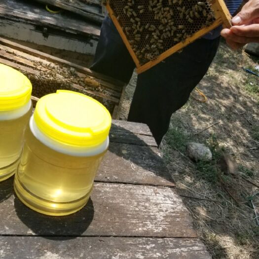平山县意蜂蜂蜜 塑料瓶装 1年 
