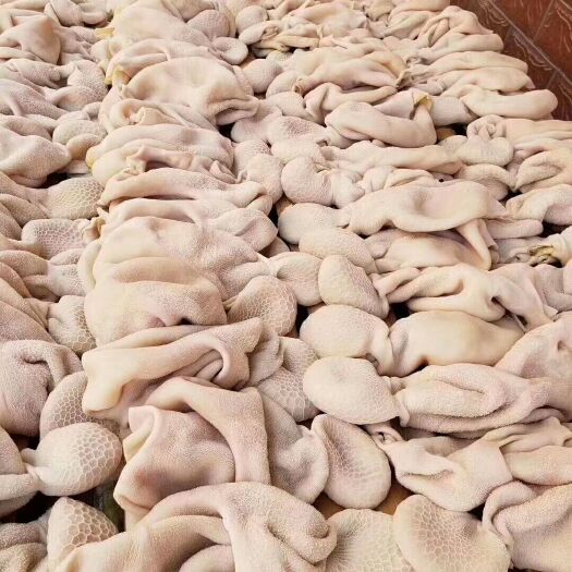 邹城市羊肚 全熟干净水分少开包即用