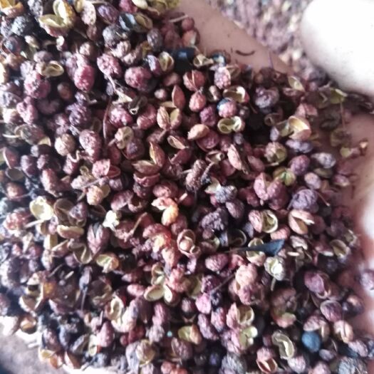 济南 中小颗粒花椒