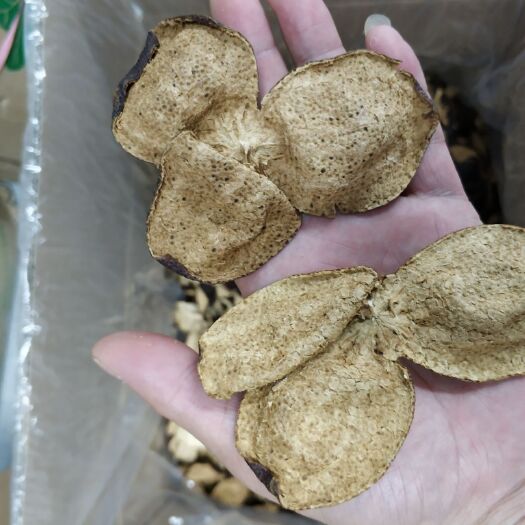 江门 正宗新会5年陈皮批发