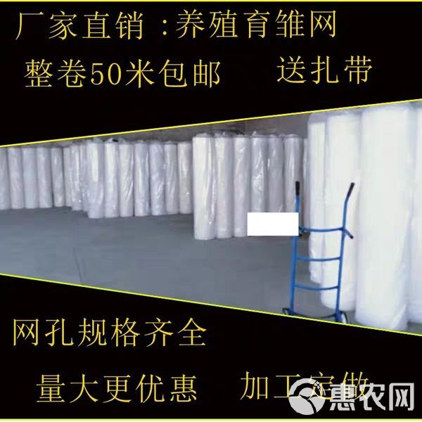 鸡鸭漏粪网阳台防护网安塑料平网养鸡网垫脚漏粪网水产养殖网