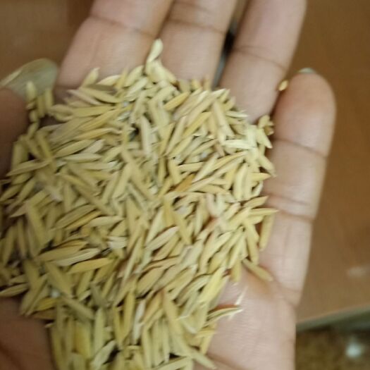 惠东县象牙粘 象牙