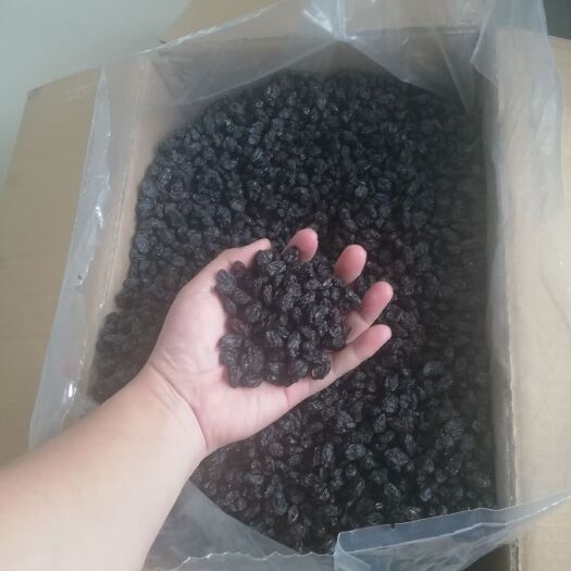 西安 水洗黑加仑葡萄干，，开袋即食原料