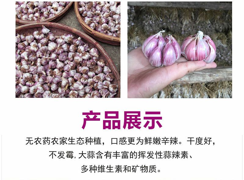 红皮大蒜 正宗云南大理红皮蒜，蒜味辛辣(比白皮蒜)回甘，香味较浓。