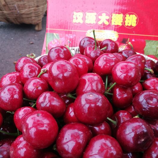汉源县 汉源大樱桃车厘子，现摘新鲜支持大批进货。电商合作可一件代发