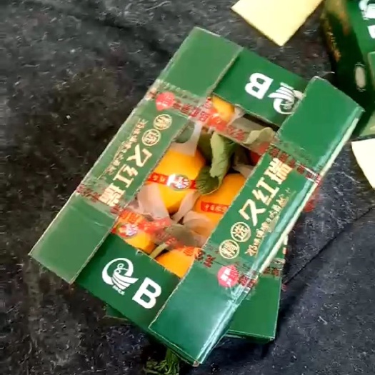 胶蜜25号 东方蜜，久红瑞，西周密，晓蜜25，鲁厚甜