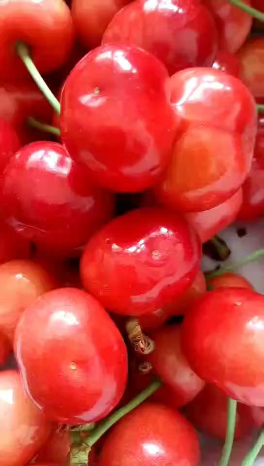 中油油桃  可以一件代发，欢迎客户前来订购