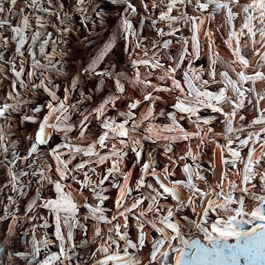 瓜州县地骨皮 说的好没用！过筛货！东西好！
