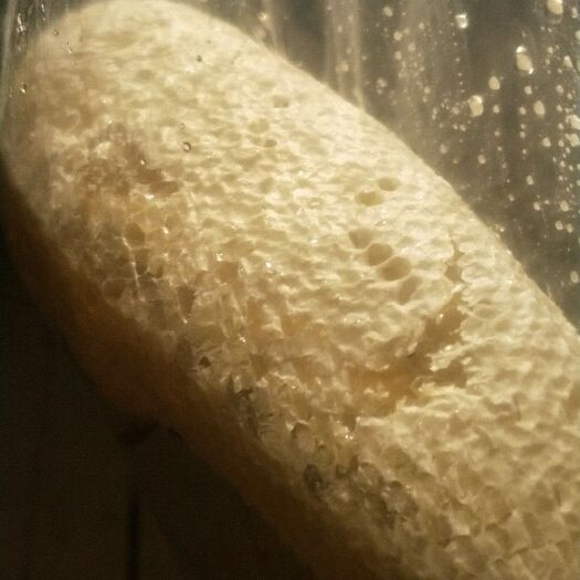 景洪市野生蜂蜜 好货看过就认得，野生小挂蜂不纯不要钱