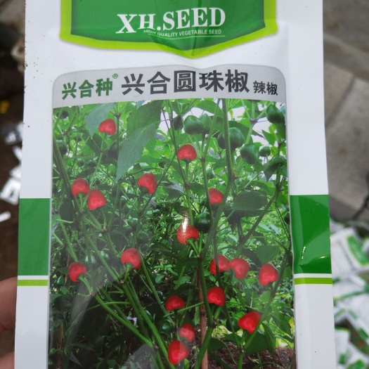 桐梓县珠子椒 5cm以下 甜辣 红色
