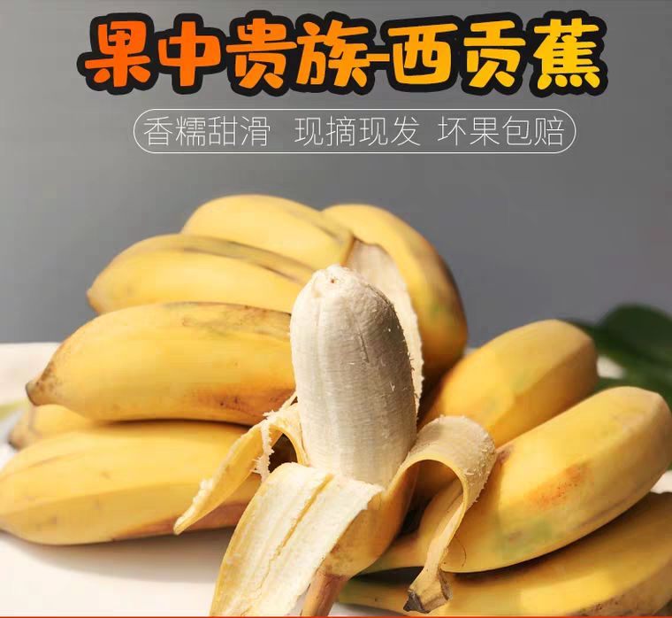 广西蕉 七成熟 