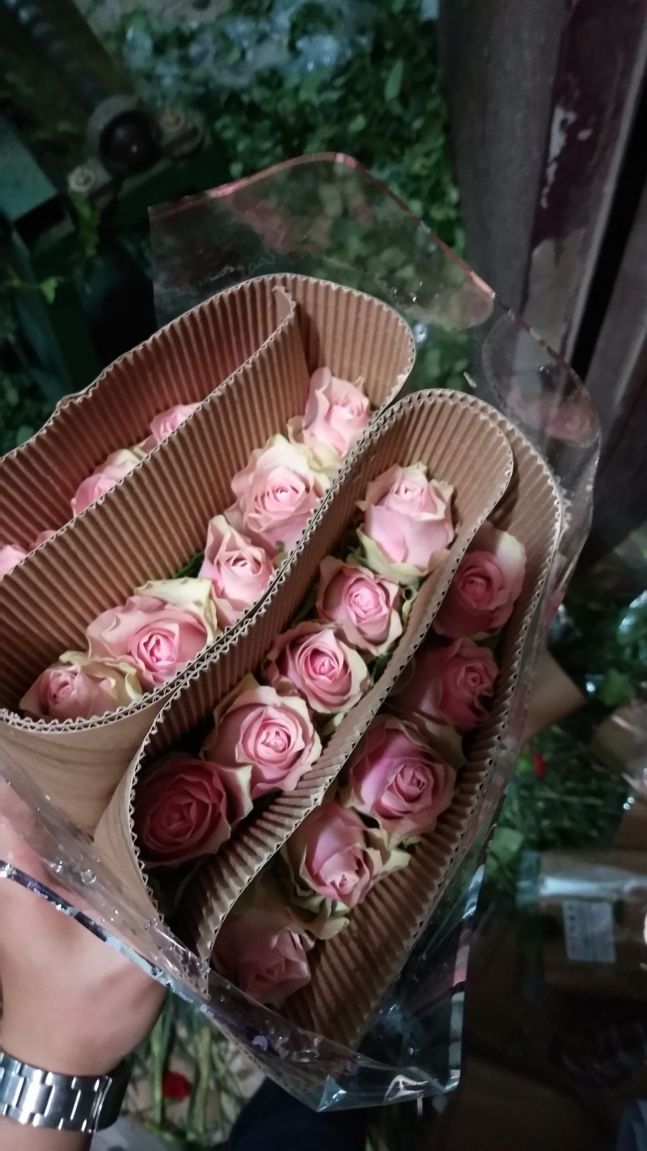 玫瑰切花 云南昆明直发玫瑰