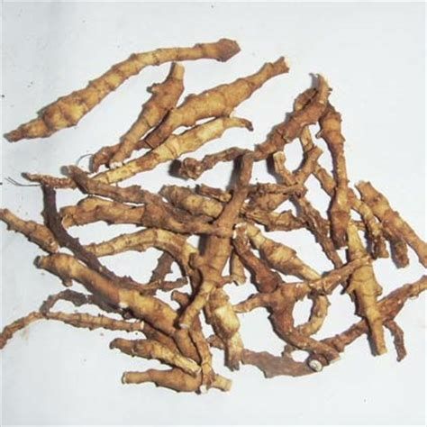 新货，九节菖蒲  正品！！无硫新货！！干净无杂质！包邮到家