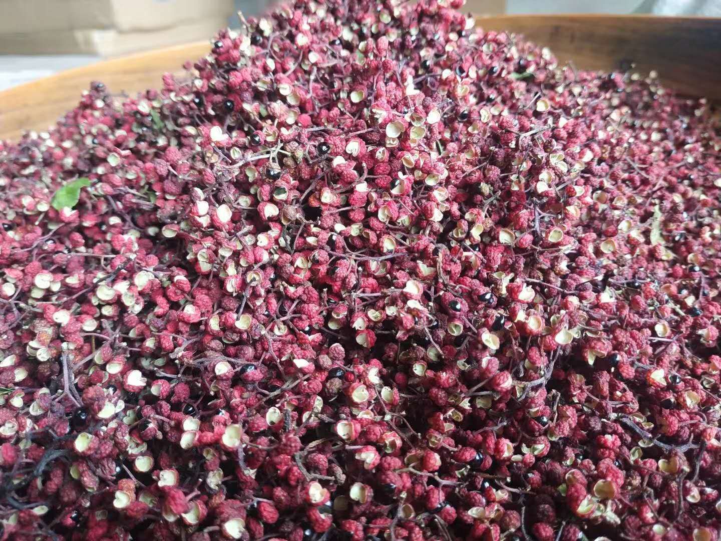 汉源清溪花椒正宗清溪娃娃椒自己种植保证正宗