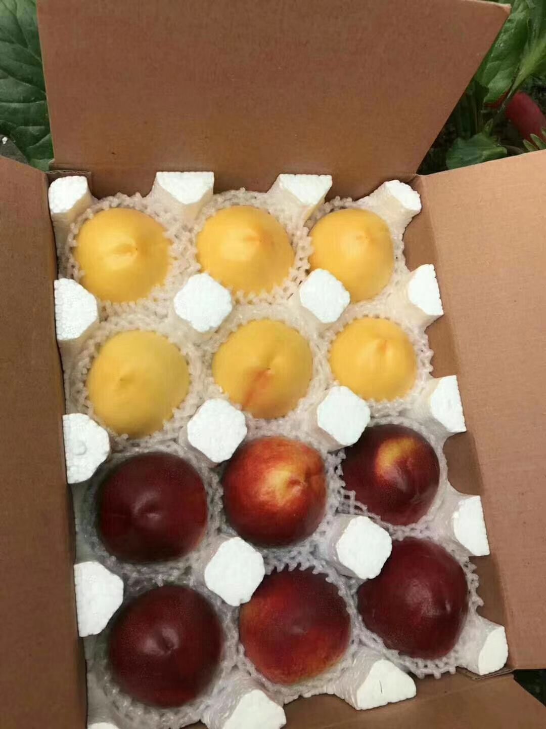 黄油桃红油桃油桃
