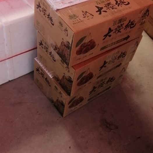 五莲县 红灯大樱桃便宜卖了