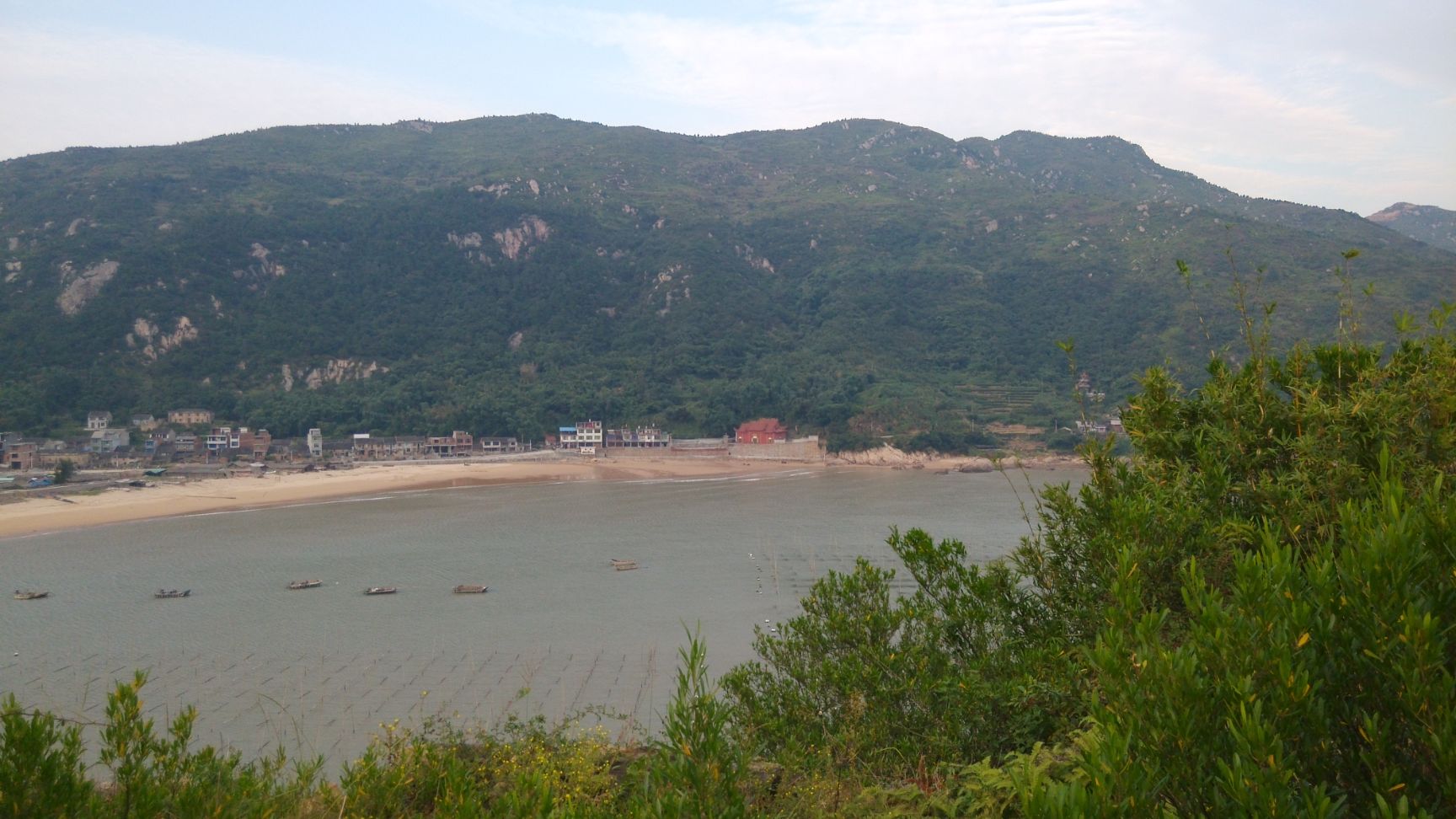  福建大白鹭紫菜之紫菜初芽手工菜