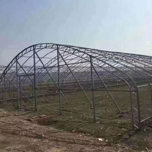 沭阳县文洛式温室大棚 温室大棚！暖棚