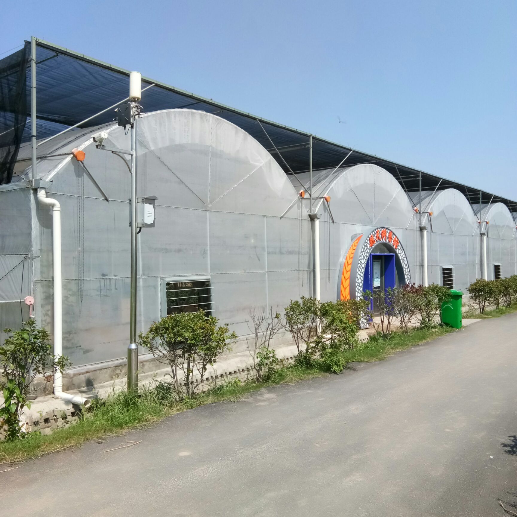 蔬菜大棚 大棚建设