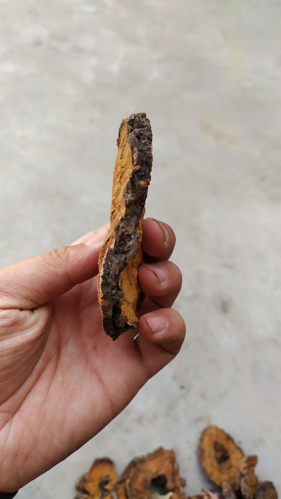 大黄片，量大从优，兽用打粉，质量有保证
