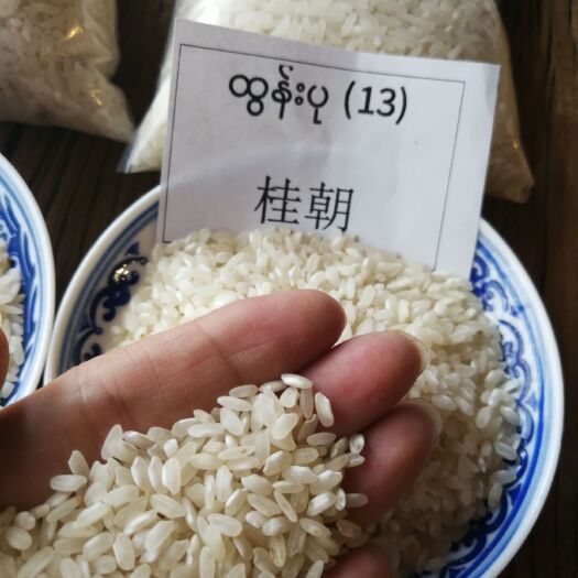 瑞丽市缅甸大米 桂朝米 现暂无货