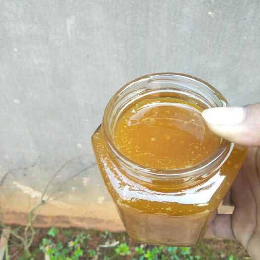 思茅 野生土蜂蜜