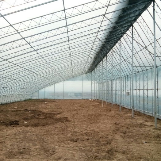 青州市蔬菜大棚 大棚建设