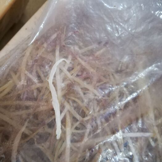 阳西县小鱼干