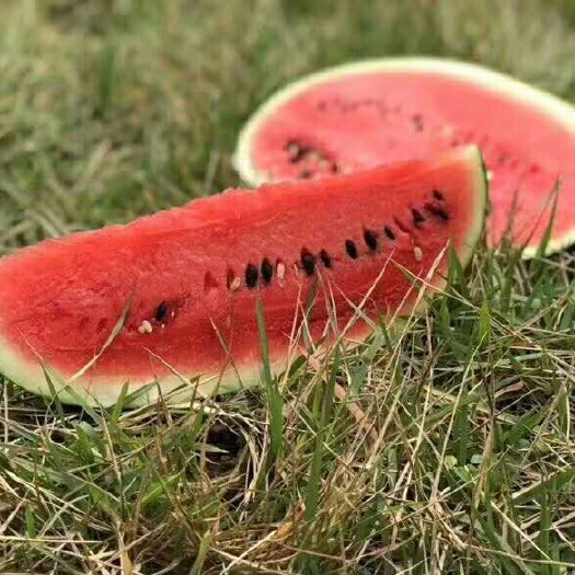  西瓜