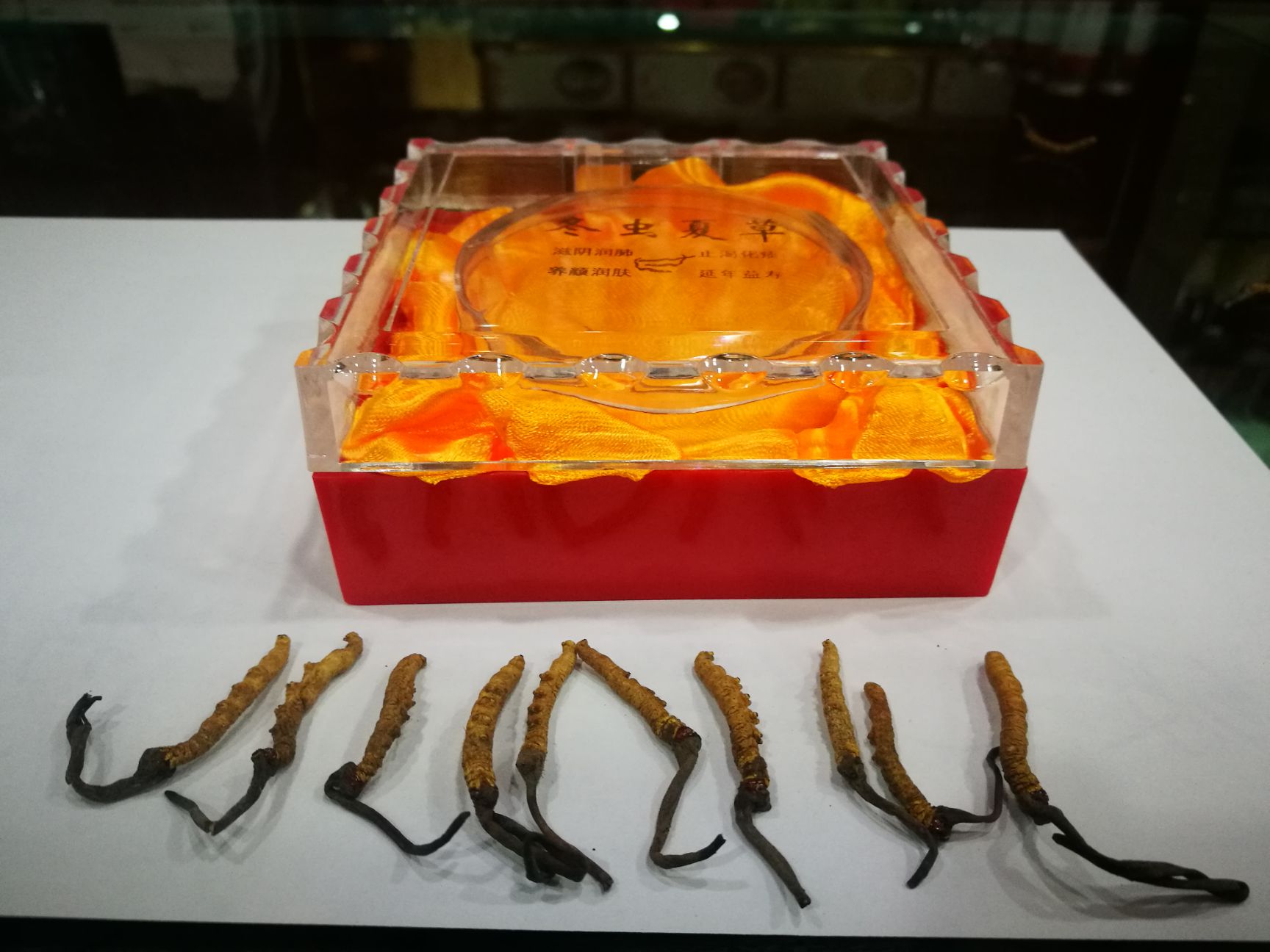 冬虫夏草 玉树精选小草  个个饱满  假一赔十  底价走量